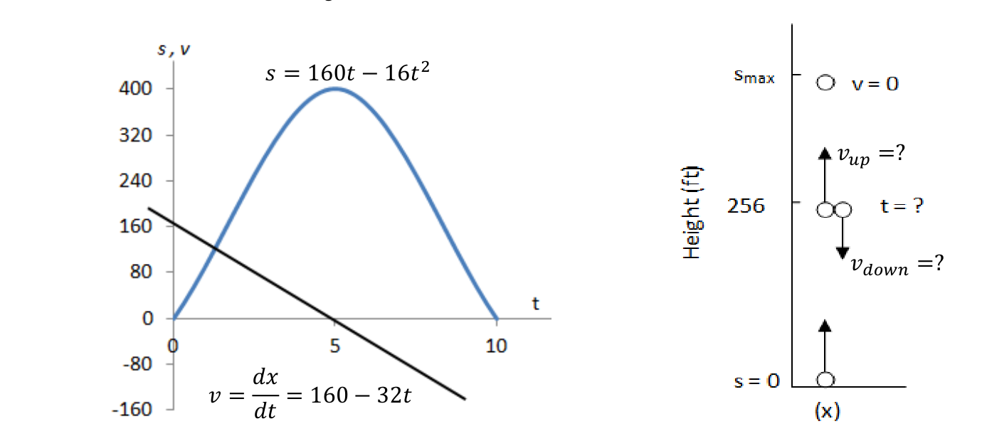 Figure Q1: height and velocity of the rock
