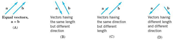 Fig. 3.3 (A) Equal Vectors. (B) – (D) Different Vectors