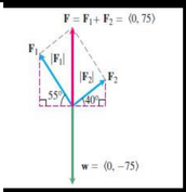 The force triangle for Example 5.4: F = F1 + F2 = (0, 75) and w = (0, -75)