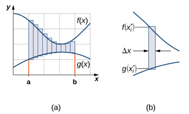 Figure 9.2: (a) We can approximate the area between the graphs of two functions, f(x) and g(x), with rectangles. (b) The area of a typical rectangle goes from one curve to the other.